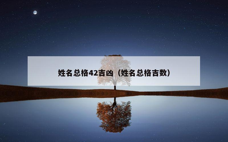 姓名总格42吉凶（姓名总格吉数）