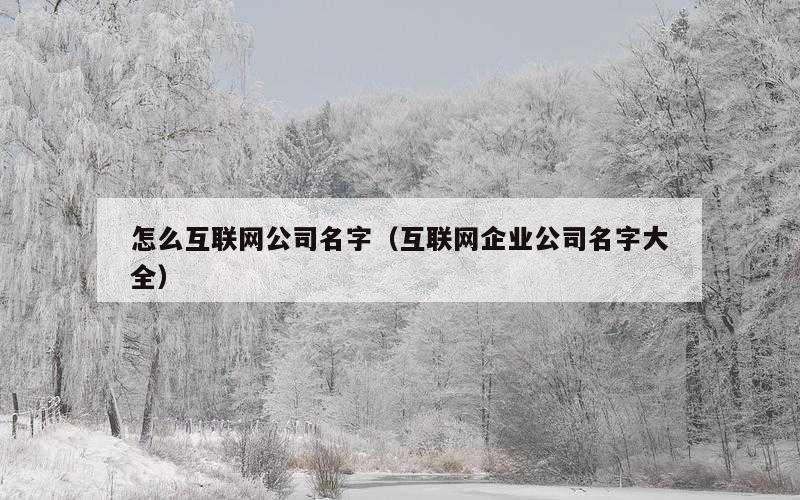 怎么互联网公司名字（互联网企业公司名字大全）