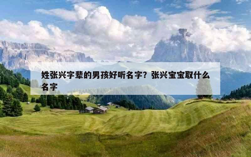 姓张兴字辈的男孩好听名字？张兴宝宝取什么名字