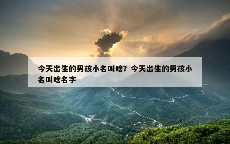 今天出生的男孩小名叫啥？今天出生的男孩小名叫啥名字