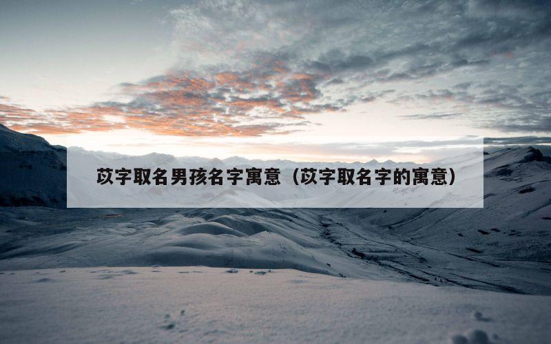苡字取名男孩名字寓意（苡字取名字的寓意）