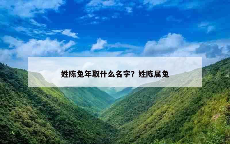 姓陈兔年取什么名字？姓陈属兔