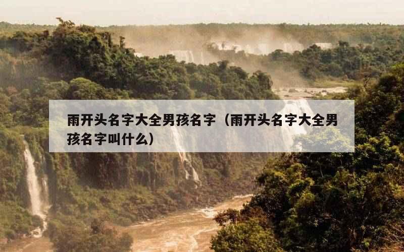 雨开头名字大全男孩名字（雨开头名字大全男孩名字叫什么）