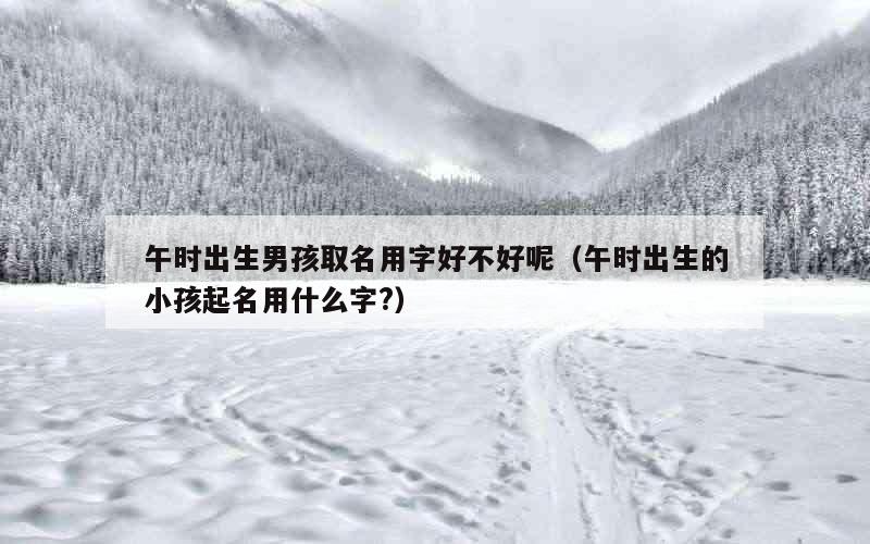 午时出生男孩取名用字好不好呢（午时出生的小孩起名用什么字?）
