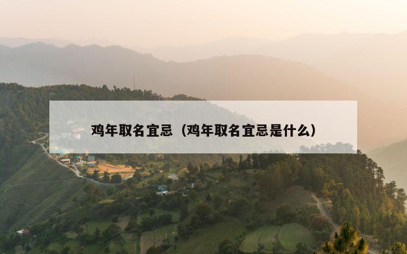 鸡年取名宜忌（鸡年取名宜忌是什么）