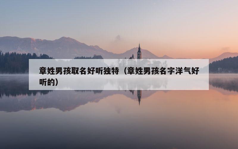 章姓男孩取名好听独特（章姓男孩名字洋气好听的）