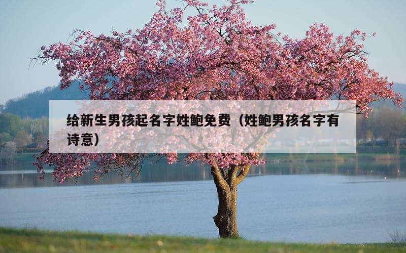 给新生男孩起名字姓鲍免费（姓鲍男孩名字有诗意）