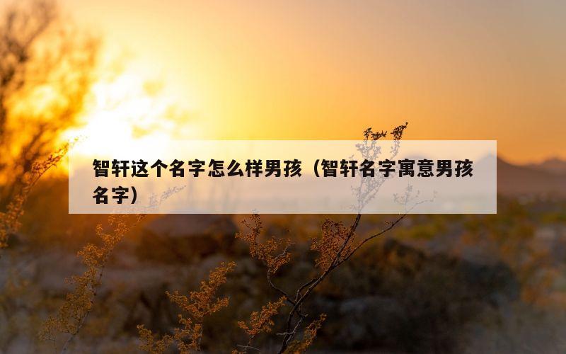 智轩这个名字怎么样男孩（智轩名字寓意男孩名字）