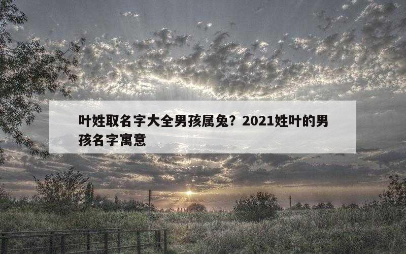 叶姓取名字大全男孩属兔？2021姓叶的男孩名字寓意