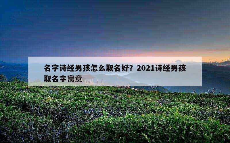 名字诗经男孩怎么取名好？2021诗经男孩取名字寓意