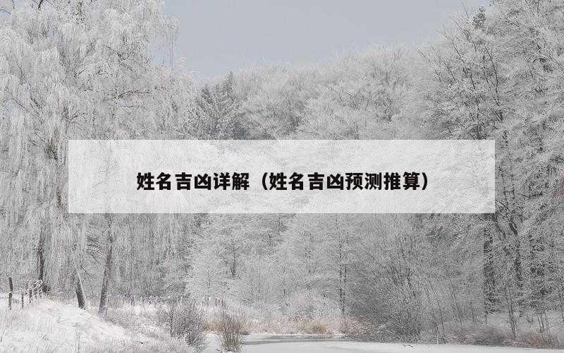 姓名吉凶详解（姓名吉凶预测推算）