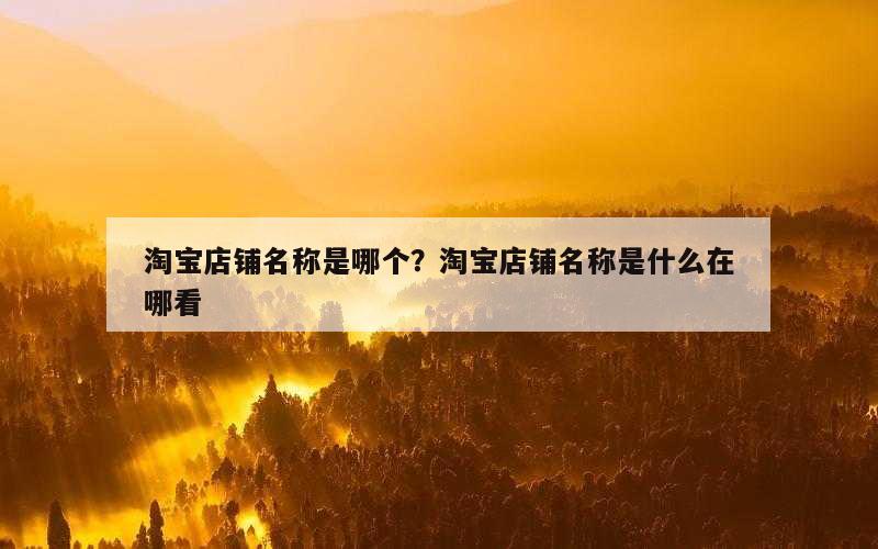 淘宝店铺名称是哪个？淘宝店铺名称是什么在哪看