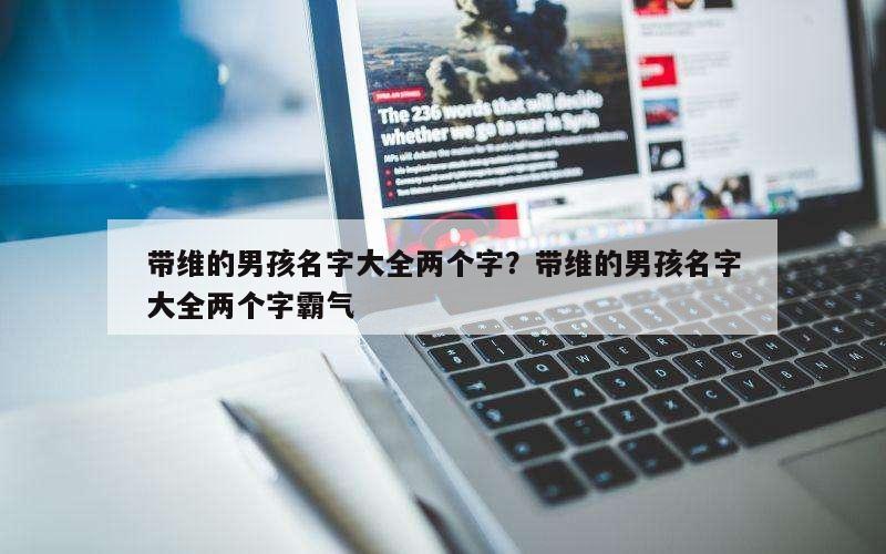 带维的男孩名字大全两个字？带维的男孩名字大全两个字霸气