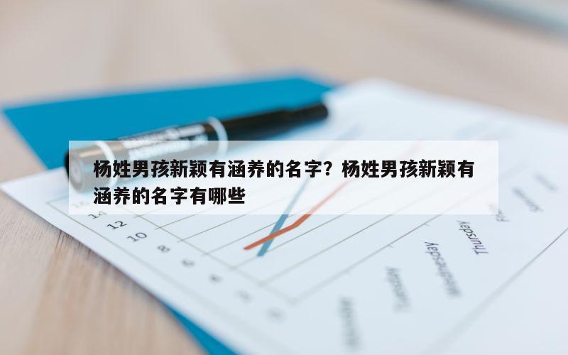 杨姓男孩新颖有涵养的名字？杨姓男孩新颖有涵养的名字有哪些