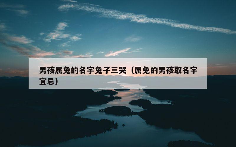 男孩属兔的名字兔子三哭（属兔的男孩取名字宜忌）