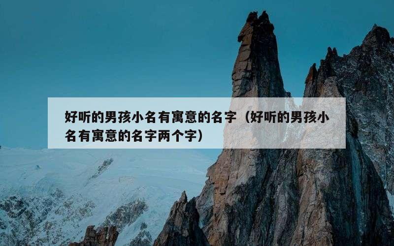 好听的男孩小名有寓意的名字（好听的男孩小名有寓意的名字两个字）
