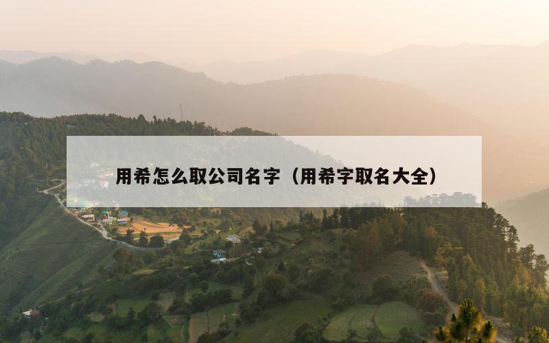 用希怎么取公司名字（用希字取名大全）
