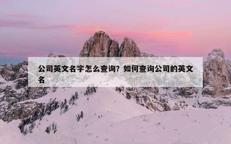 公司英文名字怎么查询？如何查询公司的英文名