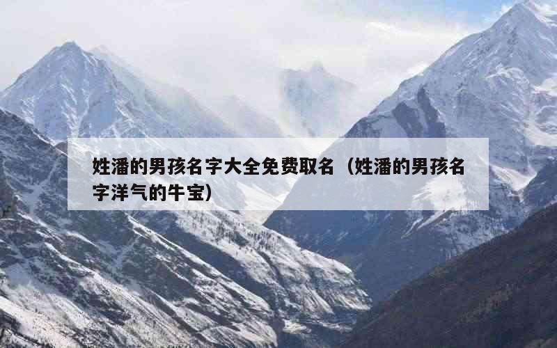 姓潘的男孩名字大全免费取名（姓潘的男孩名字洋气的牛宝）