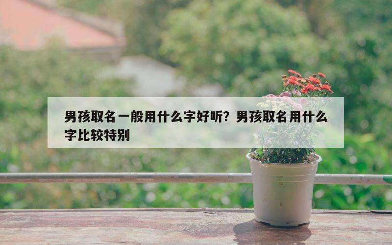 男孩取名一般用什么字好听？男孩取名用什么字比较特别