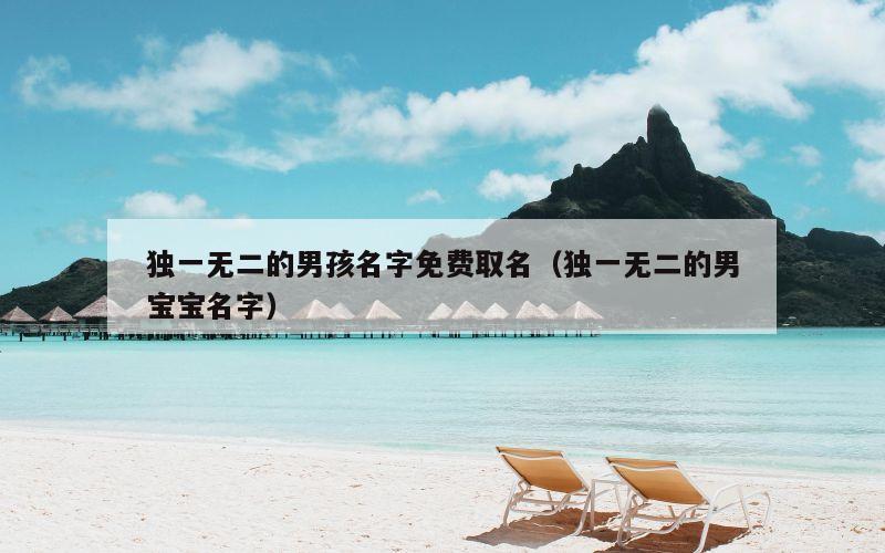 独一无二的男孩名字免费取名（独一无二的男宝宝名字）