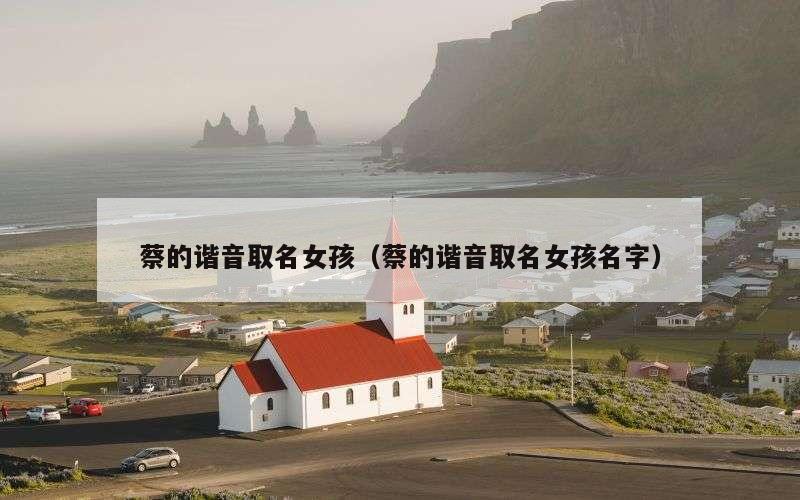 蔡的谐音取名女孩（蔡的谐音取名女孩名字）