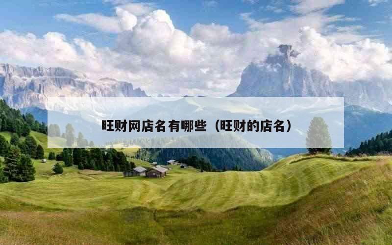 旺财网店名有哪些（旺财的店名）