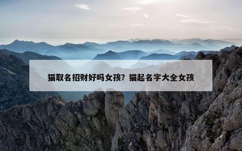 猫取名招财好吗女孩？猫起名字大全女孩