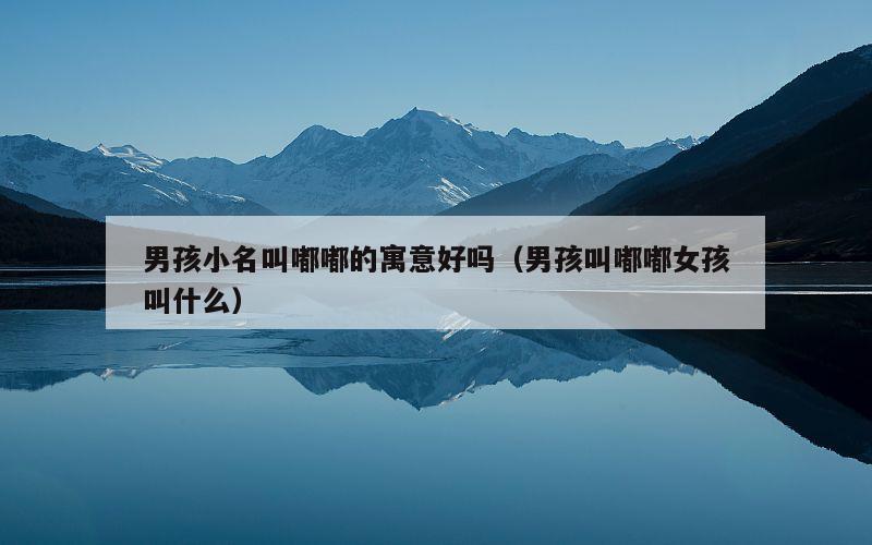 男孩小名叫嘟嘟的寓意好吗（男孩叫嘟嘟女孩叫什么）
