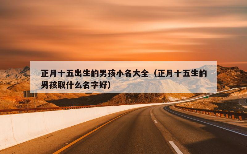 正月十五出生的男孩小名大全（正月十五生的男孩取什么名字好）