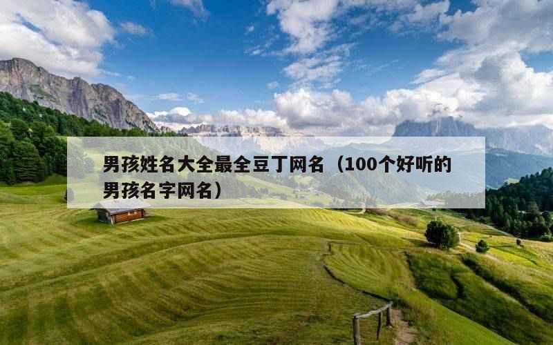男孩姓名大全最全豆丁网名（100个好听的男孩名字网名）