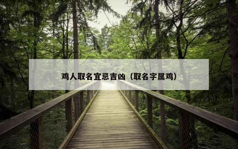 鸡人取名宜忌吉凶（取名字属鸡）