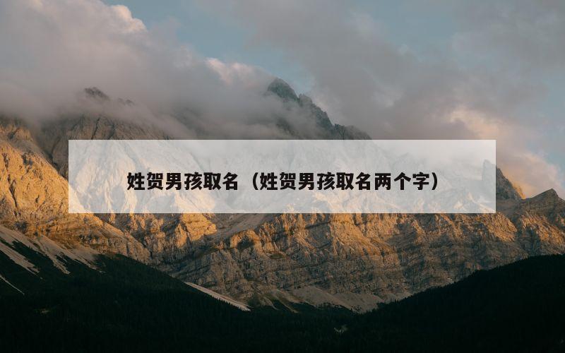 姓贺男孩取名（姓贺男孩取名两个字）