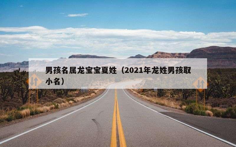 男孩名属龙宝宝夏姓（2021年龙姓男孩取小名）