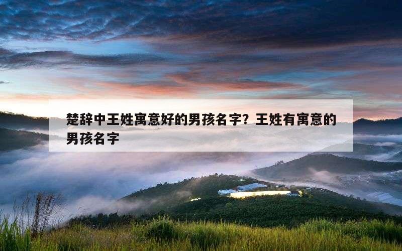 楚辞中王姓寓意好的男孩名字？王姓有寓意的男孩名字