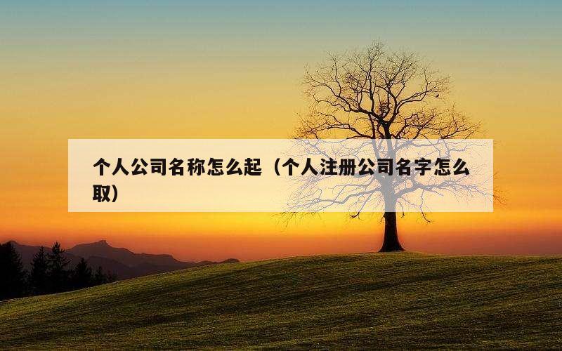 个人公司名称怎么起（个人注册公司名字怎么取）