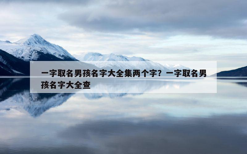 一字取名男孩名字大全集两个字？一字取名男孩名字大全查