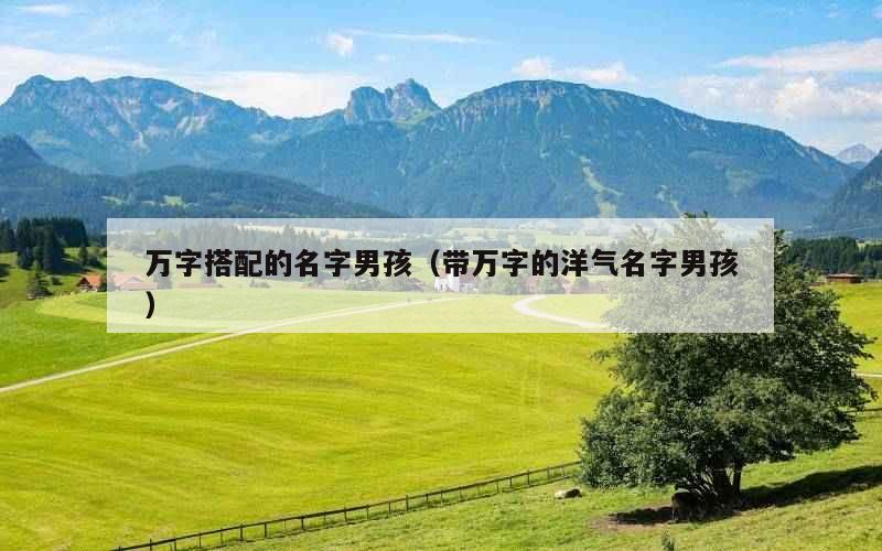 万字搭配的名字男孩（带万字的洋气名字男孩）