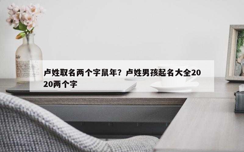 卢姓取名两个字鼠年？卢姓男孩起名大全2020两个字