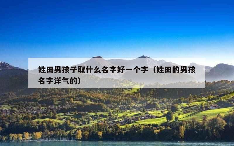姓田男孩子取什么名字好一个字（姓田的男孩名字洋气的）