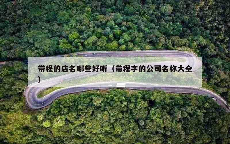 带程的店名哪些好听（带程字的公司名称大全）