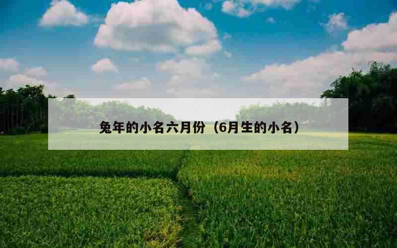 兔年的小名六月份（6月生的小名）