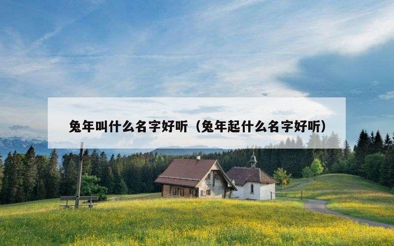 兔年叫什么名字好听（兔年起什么名字好听）