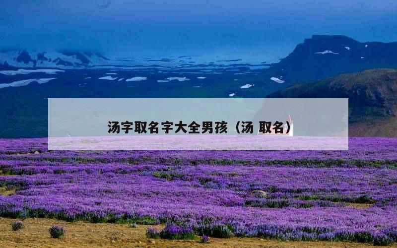 汤字取名字大全男孩（汤 取名）