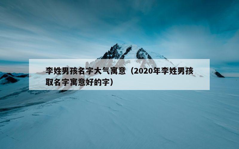 李姓男孩名字大气寓意（2020年李姓男孩取名字寓意好的字）