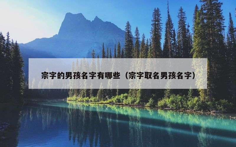 宗字的男孩名字有哪些（宗字取名男孩名字）