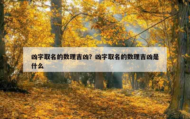 凶字取名的数理吉凶？凶字取名的数理吉凶是什么