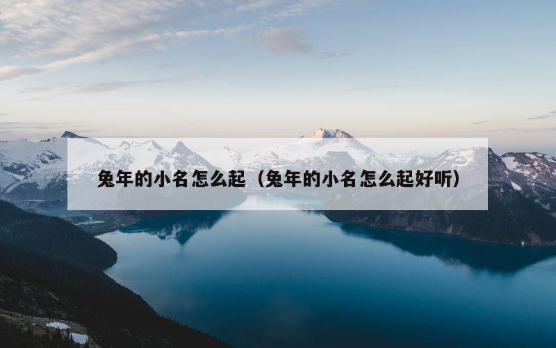 兔年的小名怎么起（兔年的小名怎么起好听）
