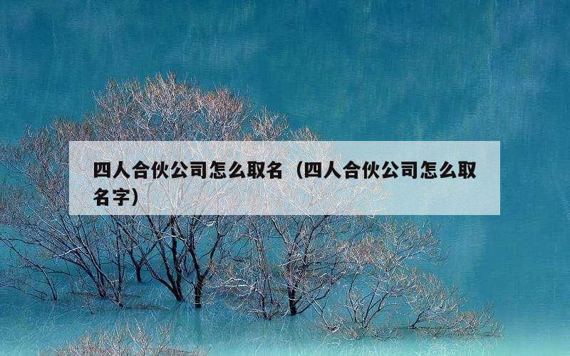 四人合伙公司怎么取名（四人合伙公司怎么取名字）