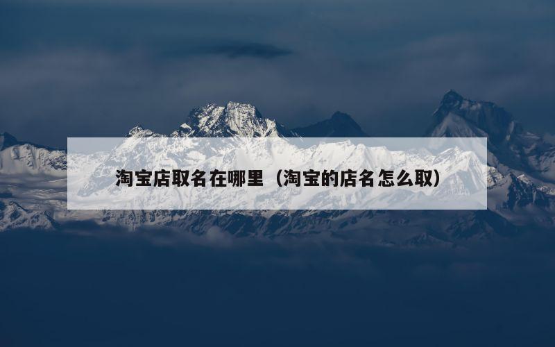 淘宝店取名在哪里（淘宝的店名怎么取）
